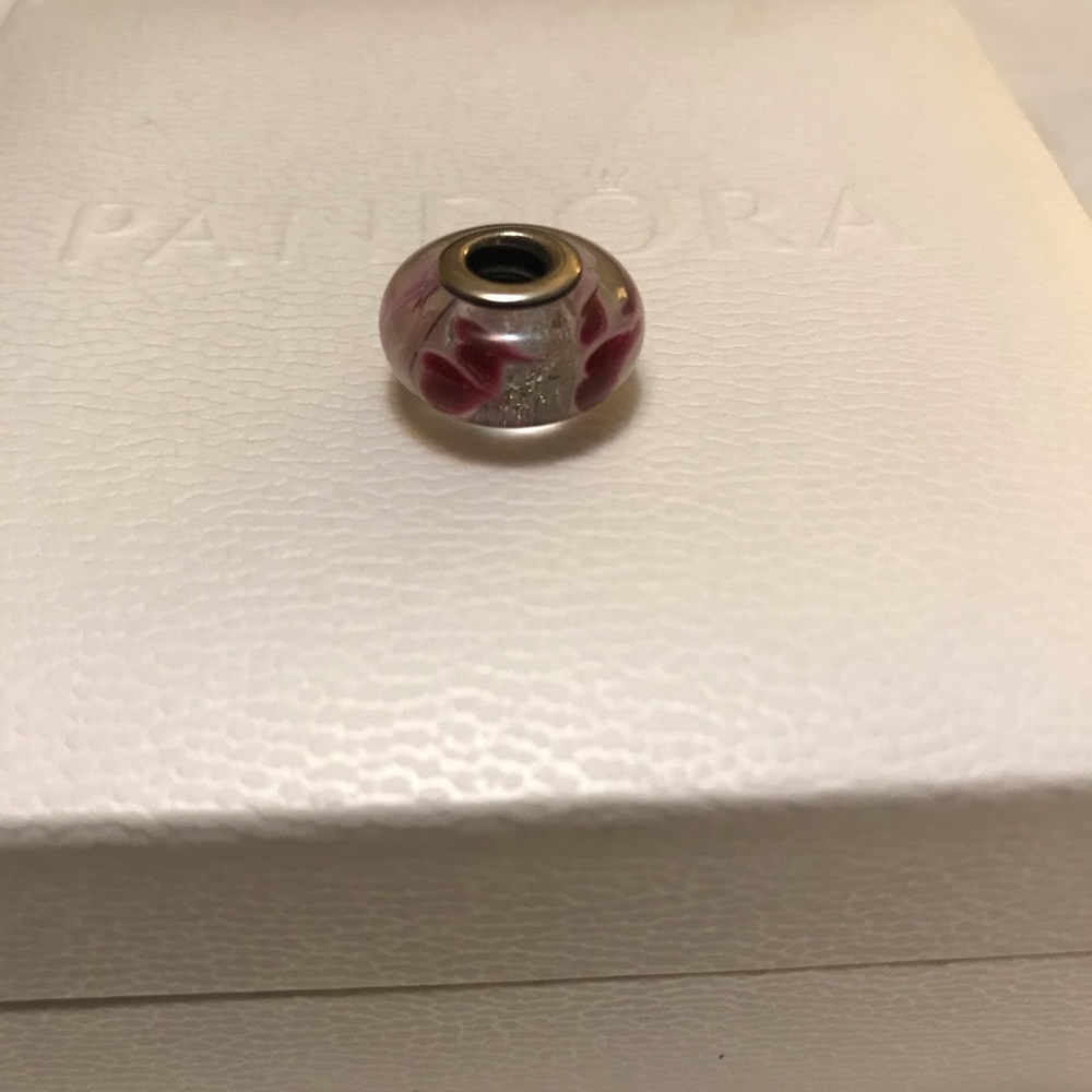 Pandora charm